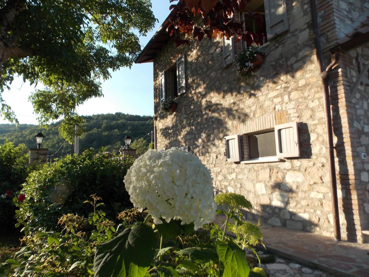 B&B Nonna Rosa Норча Экстерьер фото