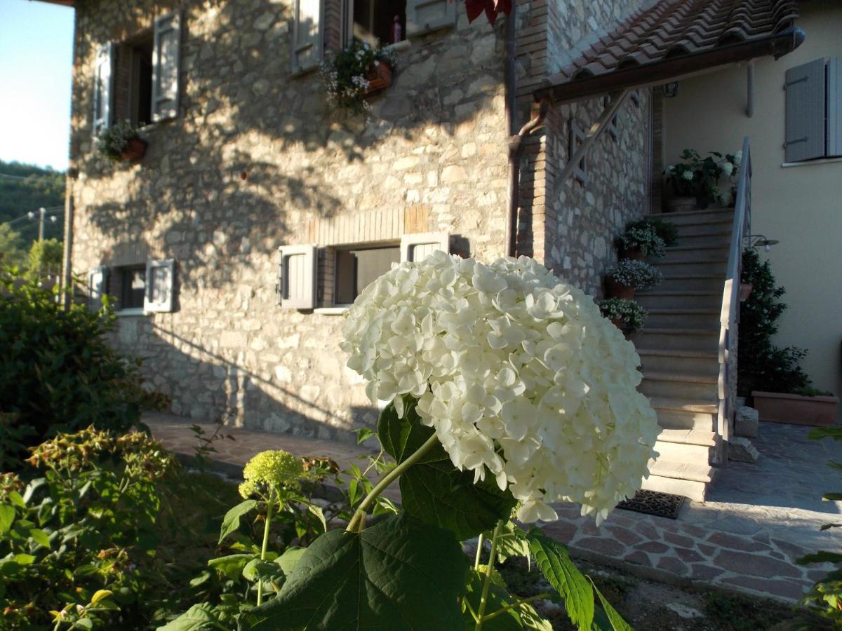 B&B Nonna Rosa Норча Экстерьер фото